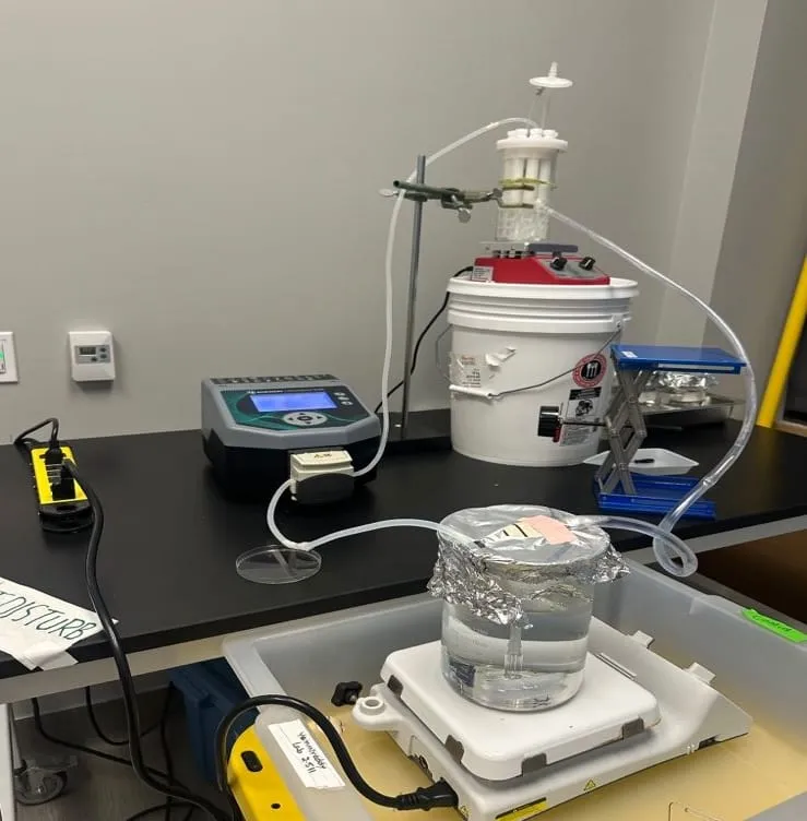 Laboratory setup for a produce wash intervention study