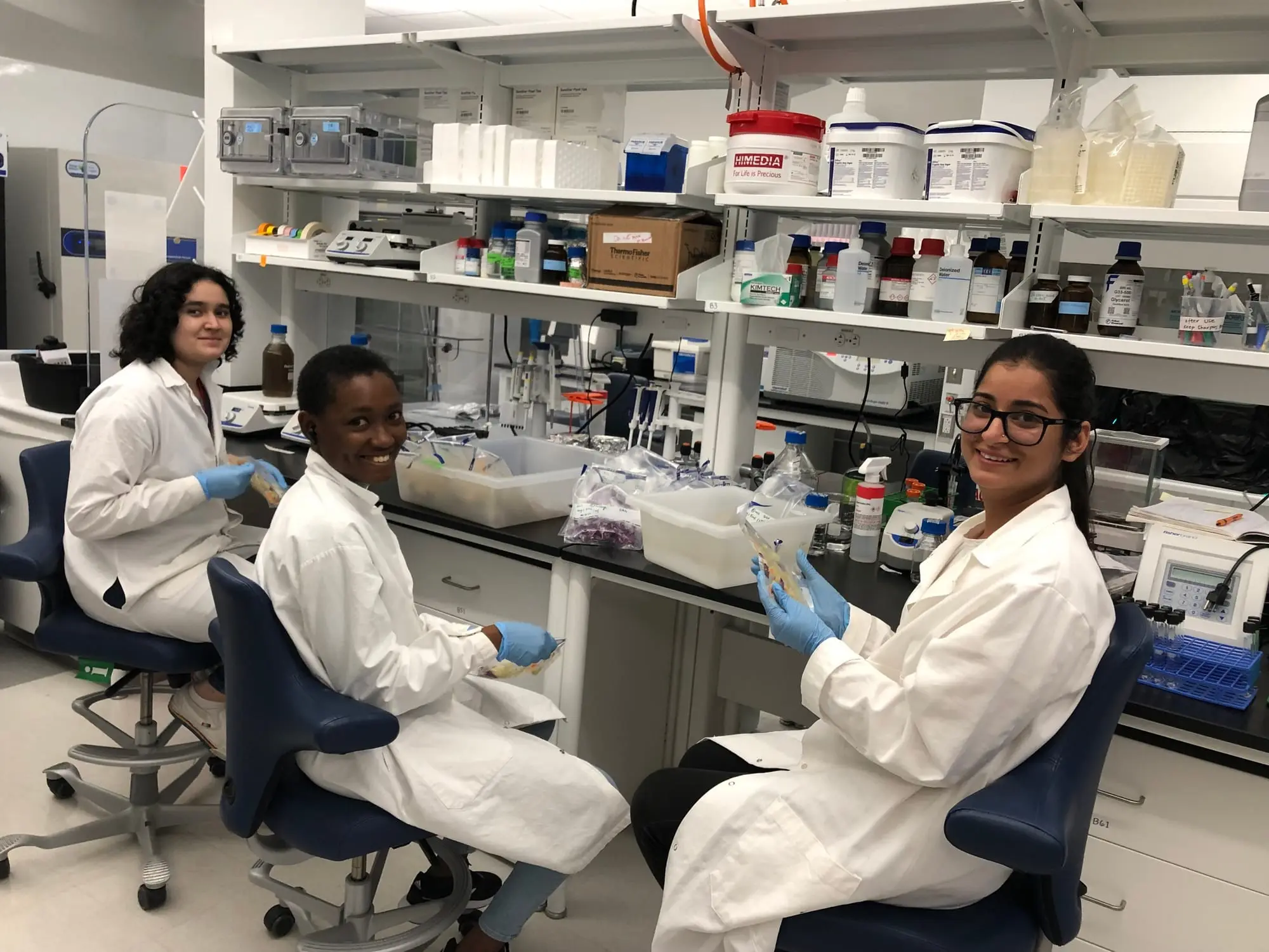Lab members working at benches in the food microbiology laboratory