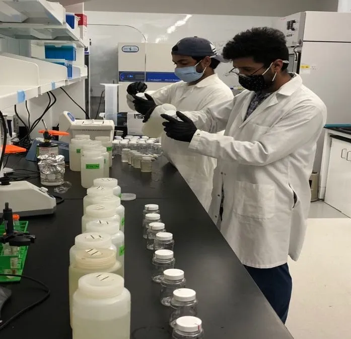 Researchers processing samples in the laboratory